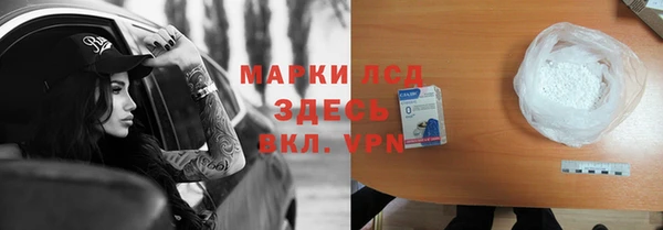 прущий лед Дмитриев