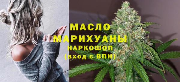 прущий лед Дмитриев