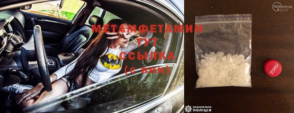 прущий лед Дмитриев