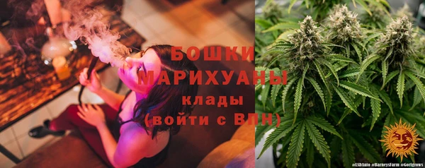 прущий лед Дмитриев
