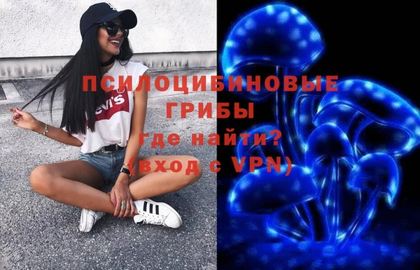 прущий лед Дмитриев