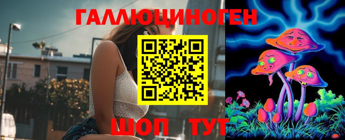 Кинель  Псилоцибиновые грибы Psilocybe  Вход с VPN  Галлюциногенные грибы прущие грибы 