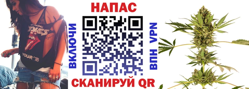 Бошки марихуана THC 21%  продажа наркотиков  площадка телеграм  Кинель 